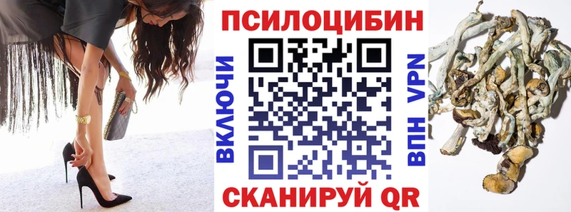 Псилоцибиновые грибы прущие грибы  MEGA ONION  Мариинск  сколько стоит 